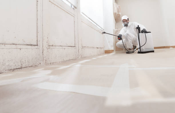 24/7 Emergency Black Mold Remediation experts in Inwood, FL